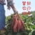 新鲜红薯河南烟薯25号正宗糖心蜜薯农家现挖番薯烤薯店专用