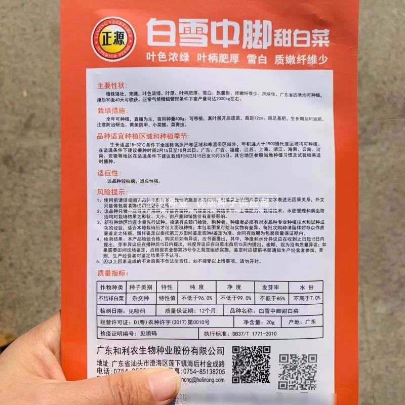 正源白雪中脚甜白菜种子黑白配菜种子矮桩束腰叶柄肥厚