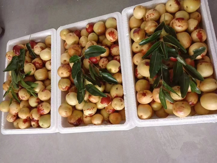 年枣礼盒与消费者互动场景