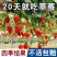 草莓苗奶油草莓庭院阳台棚栽地栽红颜章姬九香