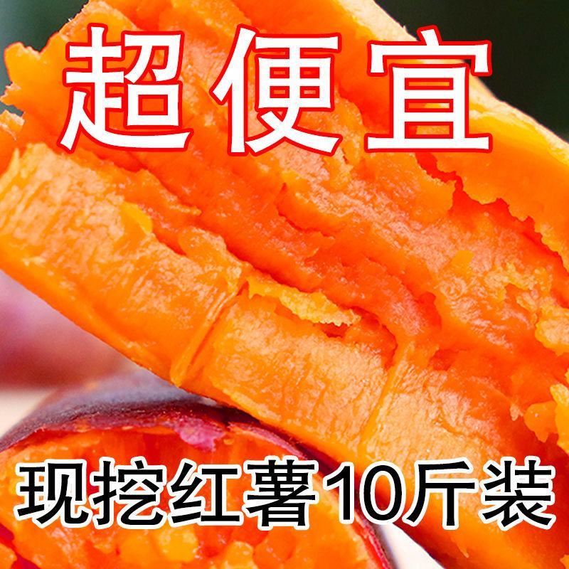 新鲜沙地蜜薯糖心红薯西瓜红番薯黄心板栗薯甜糯软糯超甜地瓜