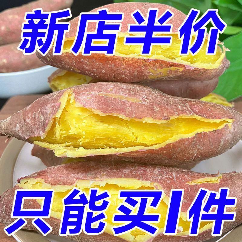 现挖新鲜黄心板粟红薯黄心地瓜番薯芋头板栗薯