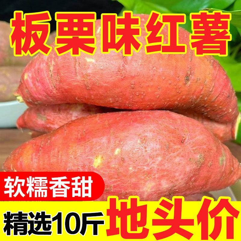 现挖新鲜黄心板粟红薯黄心地瓜番薯芋头板栗薯