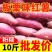 现挖新鲜黄心板粟红薯黄心地瓜番薯芋头板栗薯