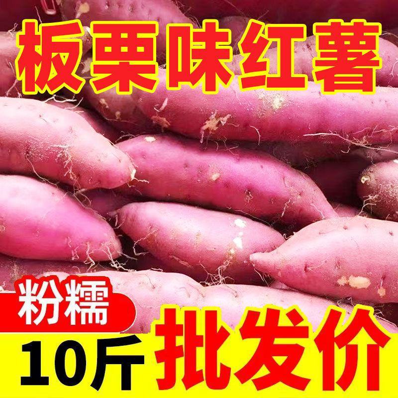 现挖新鲜黄心板粟红薯黄心地瓜番薯芋头板栗薯