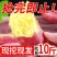 现挖新鲜黄心板粟红薯黄心地瓜番薯芋头板栗薯