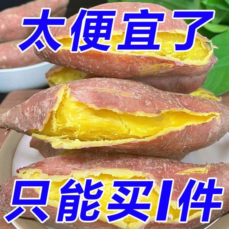 现挖新鲜黄心板粟红薯黄心地瓜番薯芋头板栗薯