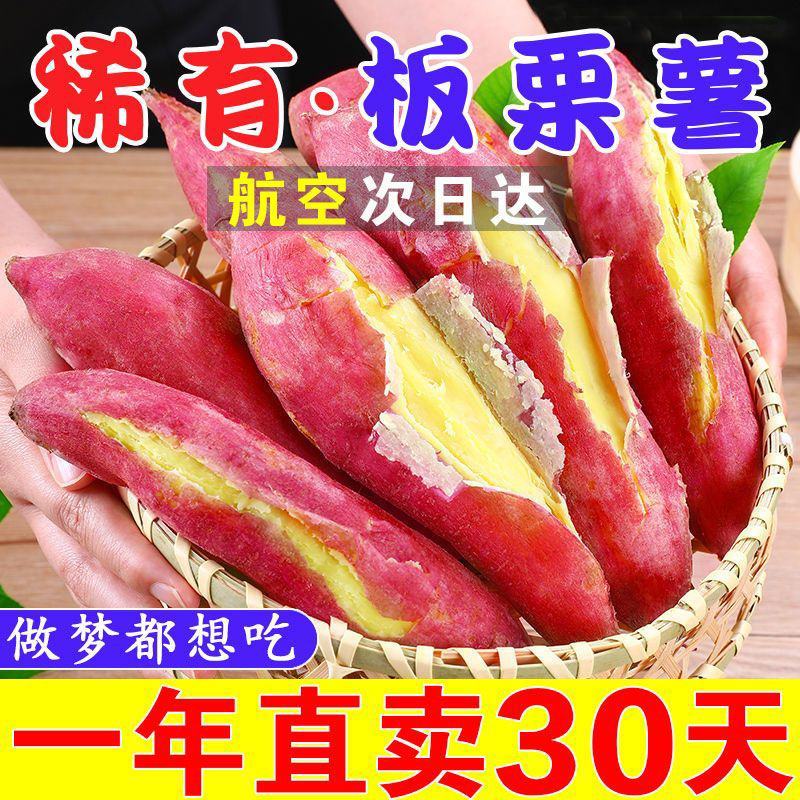现挖新鲜黄心板粟红薯黄心地瓜番薯芋头板栗薯