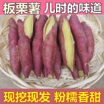 板栗红薯陕西沙地蜜薯地瓜山芋头新鲜番薯2斤5斤带箱10斤