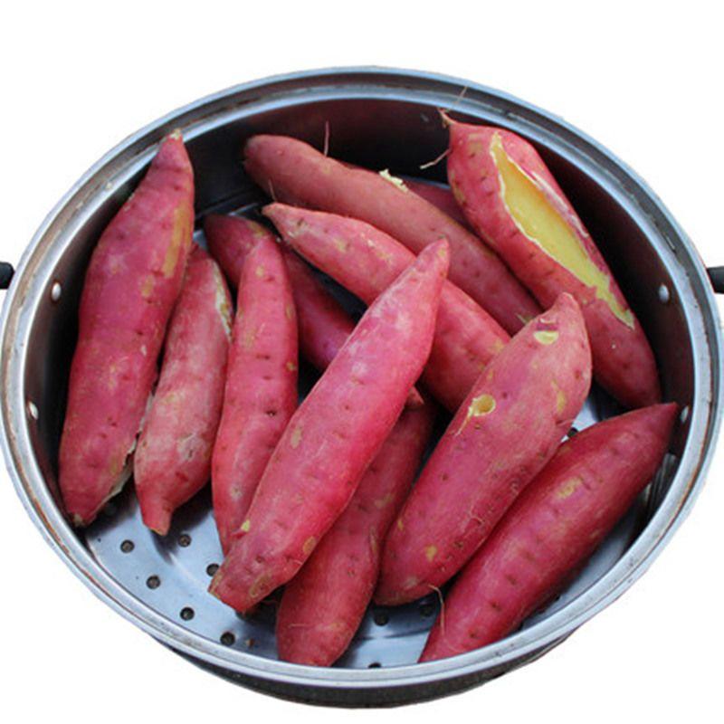 板栗红薯陕西沙地蜜薯地瓜山芋头新鲜番薯2斤5斤带箱10斤