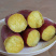 板栗红薯陕西沙地蜜薯地瓜山芋头新鲜番薯2斤5斤带箱10斤