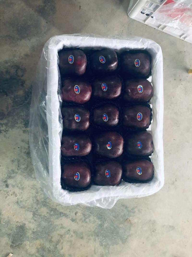 甘肃花牛《蛇果》基地实地看货现采现摘保质保量好货优选