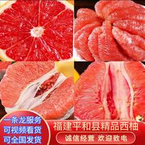 平和县琯溪蜜柚，三红柚，红柚，琯溪蜜柚一手货源产地直发