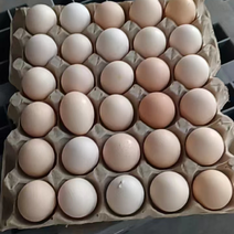 粉壳鸡蛋，褐壳鸡蛋，货源充足，价格