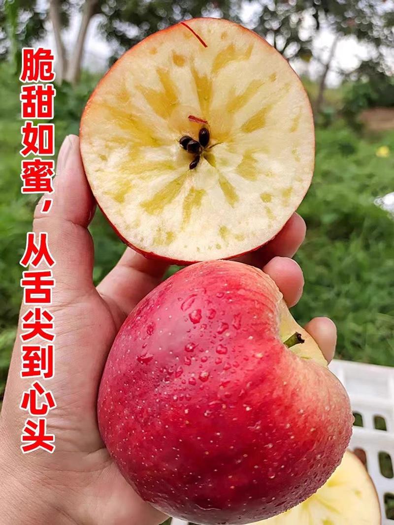 【推荐】昭通2001苹果基地批发脆甜爽口一手货源