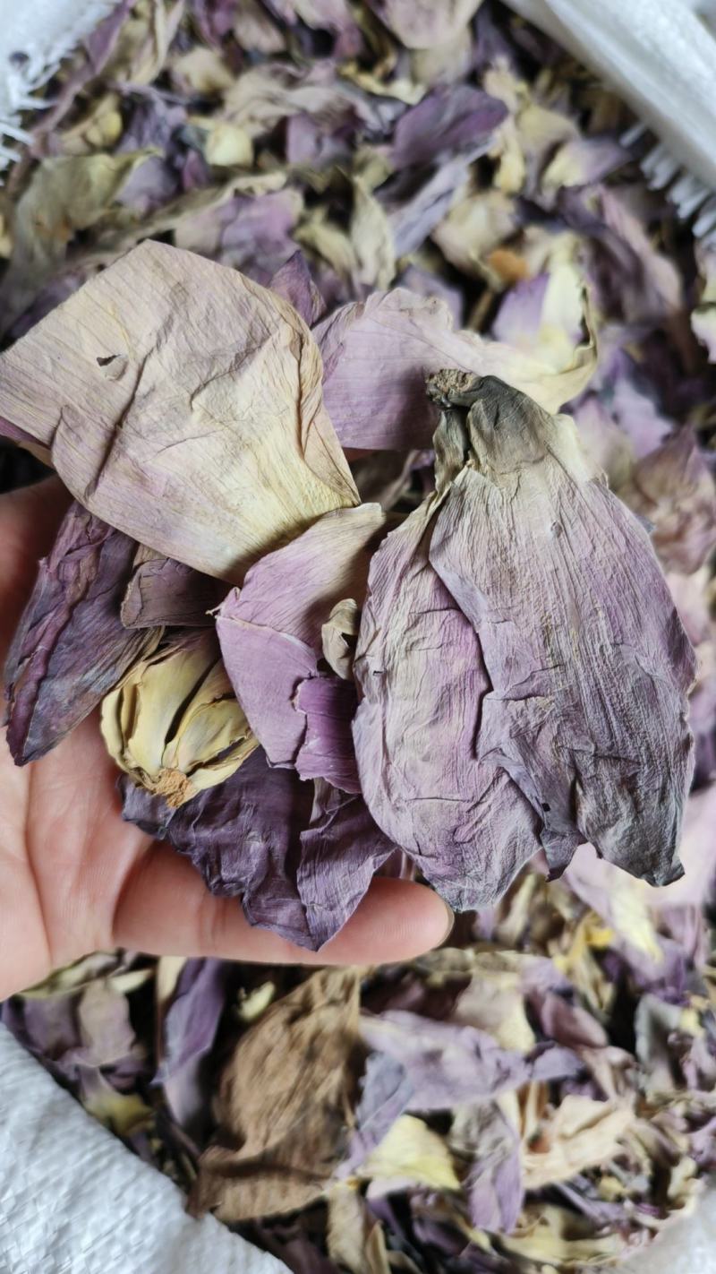 荷花茶干货荷花瓣包邮荷花半产地直销量大从优