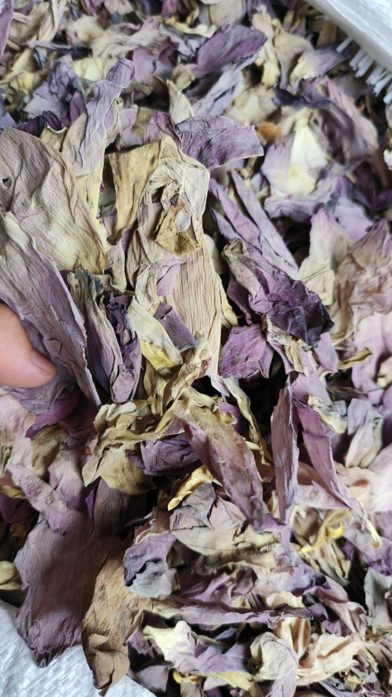 荷花茶干货荷花瓣包邮荷花半产地直销量大从优