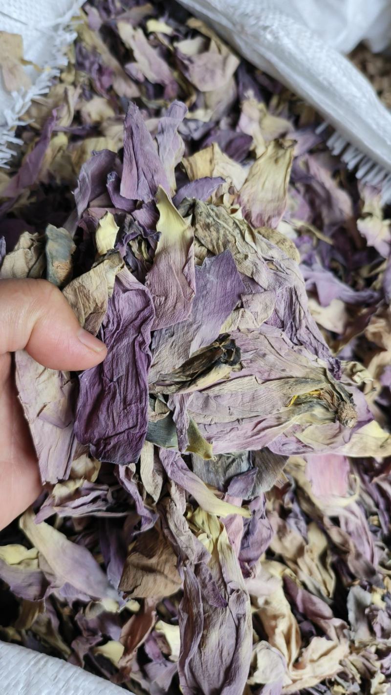 荷花茶干货荷花瓣包邮荷花半产地直销量大从优