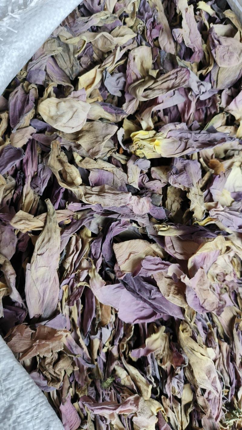 荷花茶干货荷花瓣包邮荷花半产地直销量大从优
