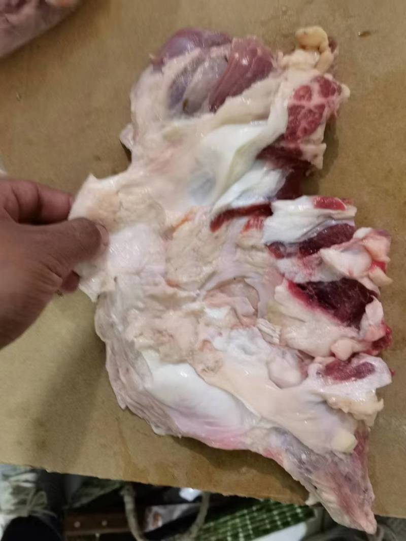 牛窝骨筋，纯干精修去油，大块，常年加工