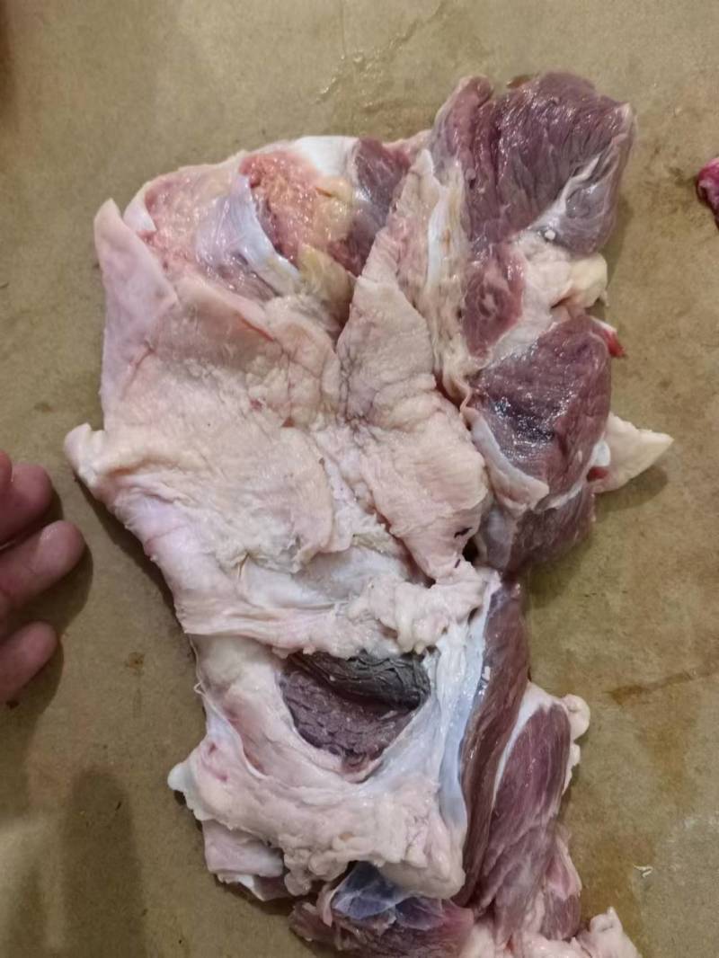 牛窝骨筋，纯干精修去油，大块，常年加工