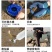 【推荐】浙江赶海工具海边抓螃蟹神器沙滩铲子厂家直发质量佳