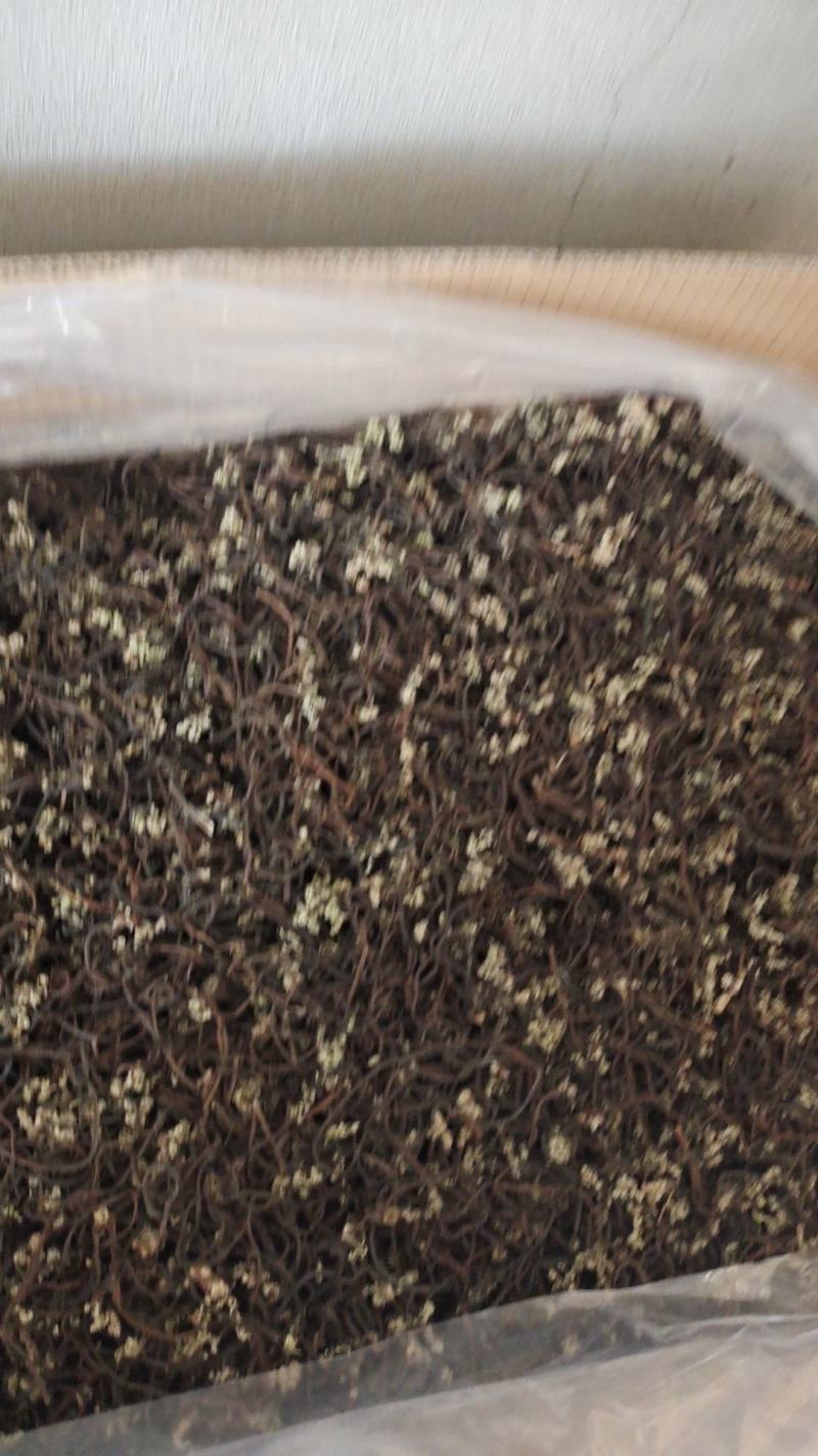 蕨菜干