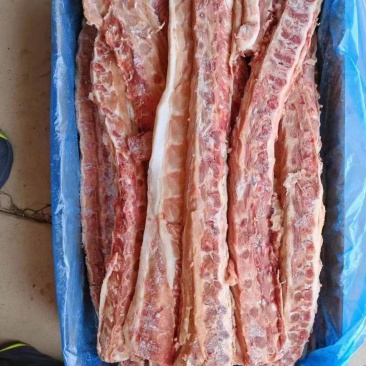 加拿大多肉背骨品质高价格低四块来钱欢迎各位老板咨询订购