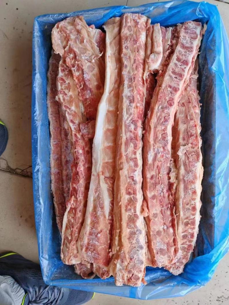 加拿大多肉背骨品质高价格低四块来钱欢迎各位老板咨询订购
