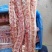 加拿大多肉背骨品质高价格低四块来钱欢迎各位老板咨询订购