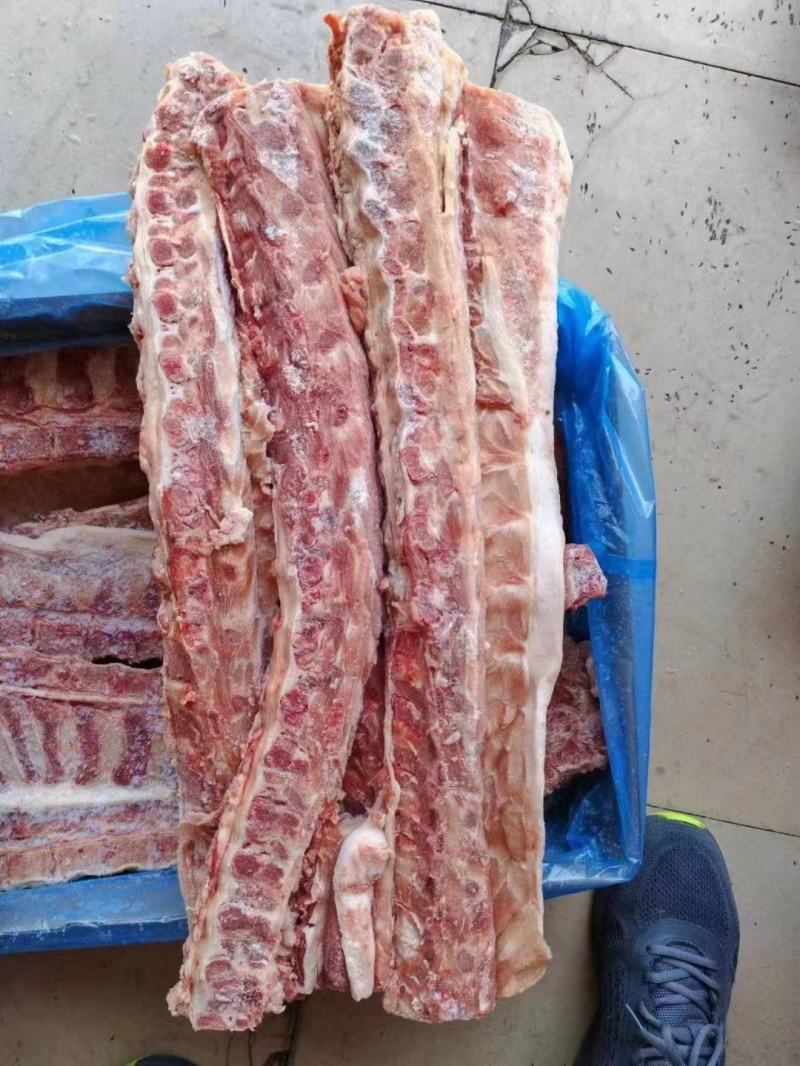 加拿大多肉背骨品质高价格低四块来钱欢迎各位老板咨询订购