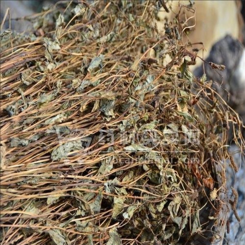 鱼腥草折耳根干货