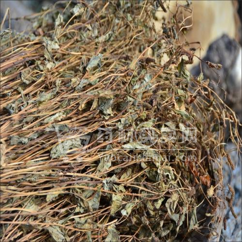 鱼腥草折耳根干货