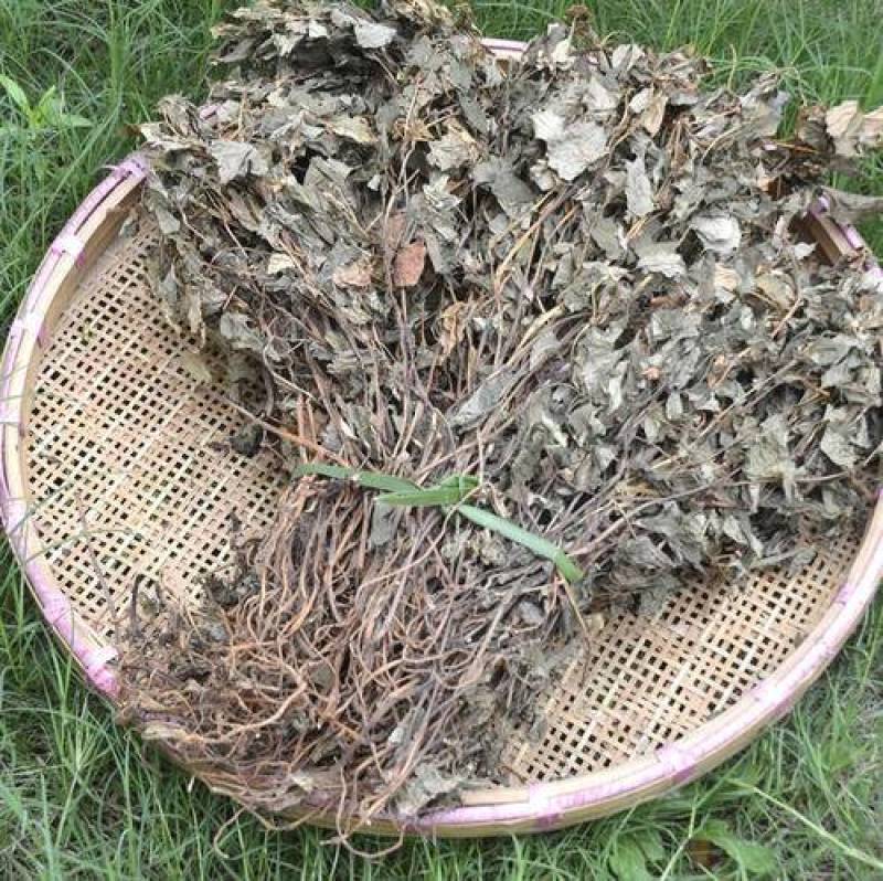 鱼腥草折耳根干货