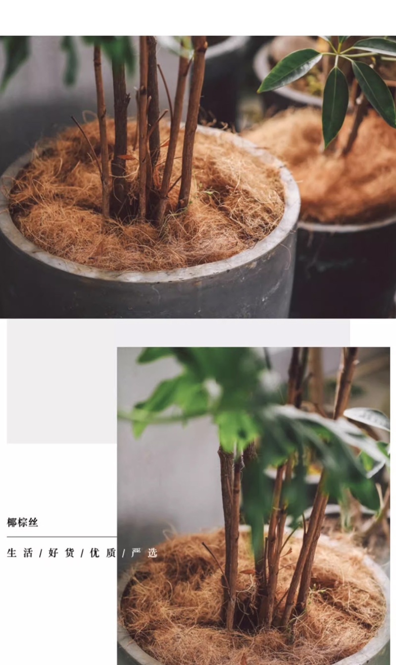 进口椰丝大量供应欢迎全国各地采购商合作洽谈量大优惠