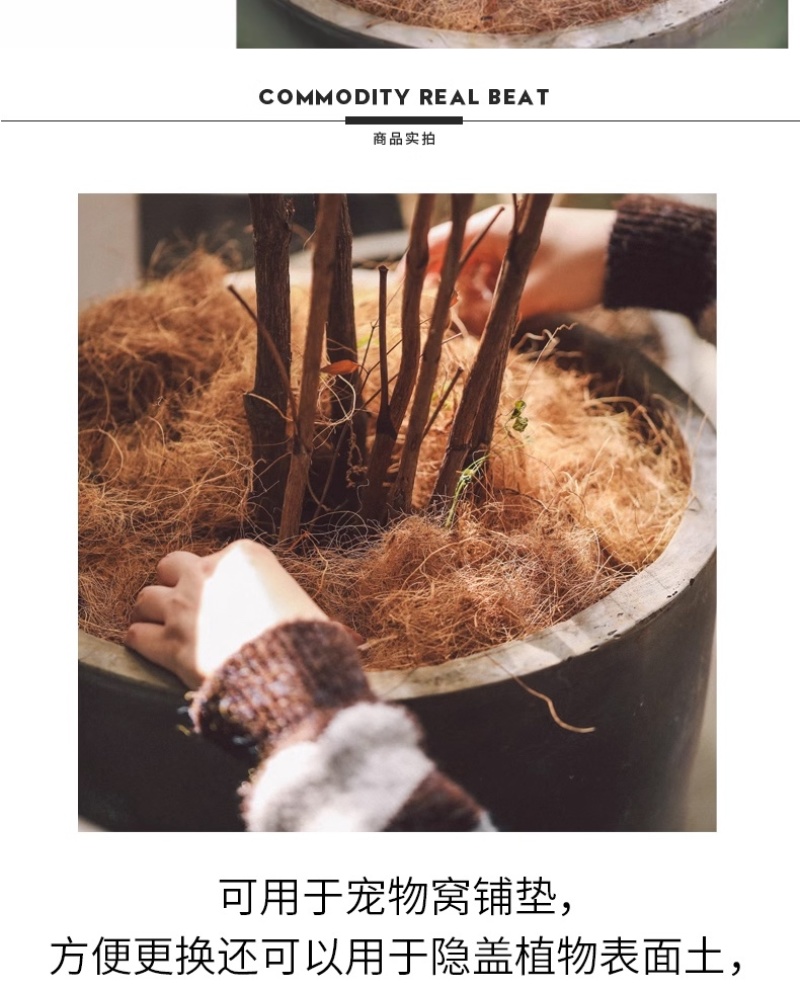 进口椰丝大量供应欢迎全国各地采购商合作洽谈量大优惠