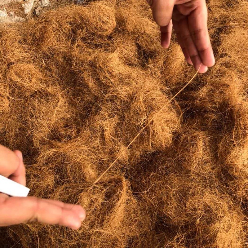 进口椰丝大量供应欢迎全国各地采购商合作洽谈量大优惠