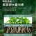 进口泥炭6000升大包泥炭土需要可以直接沟通全国发