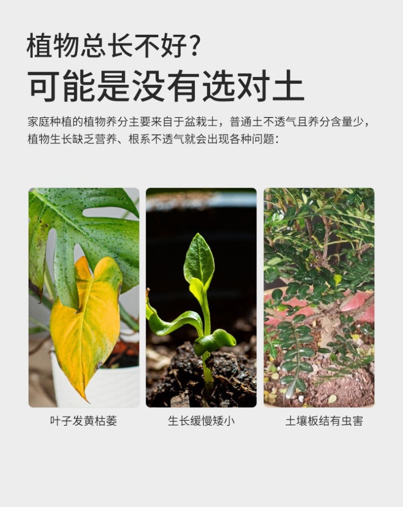 进口泥炭6000升大包泥炭土需要可以直接沟通全国发