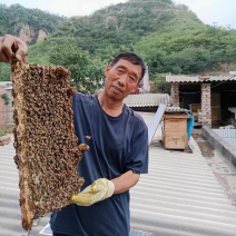 蜂蜜土蜂蜜我自家养殖的欢迎需要的老板电话联系