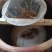 蜂蜜土蜂蜜我自家养殖的欢迎需要的老板电话联系