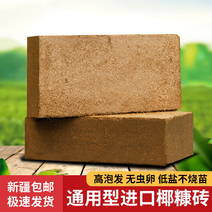 进口椰糖砖全国各地发货650g进口小椰糖砖