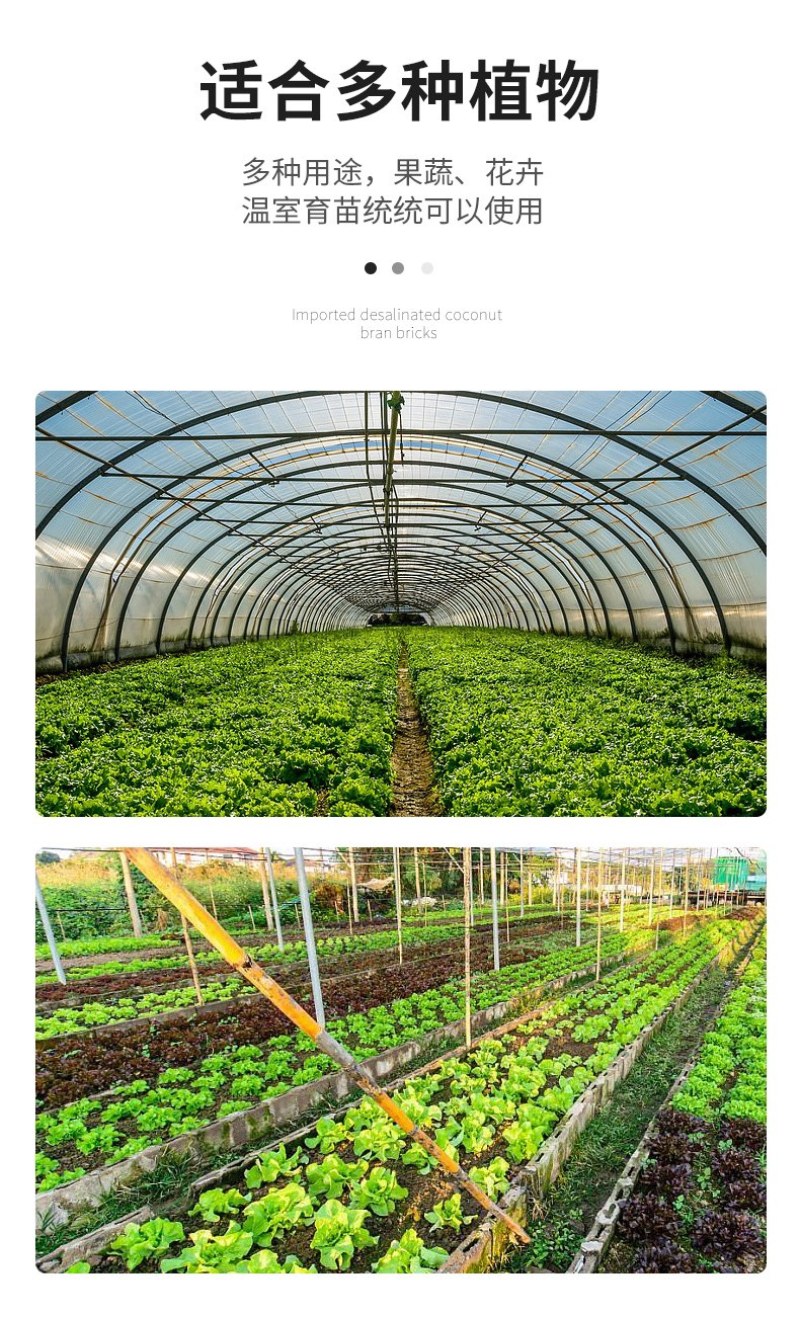 进口椰糖砖全国各地发货650g进口小椰糖砖
