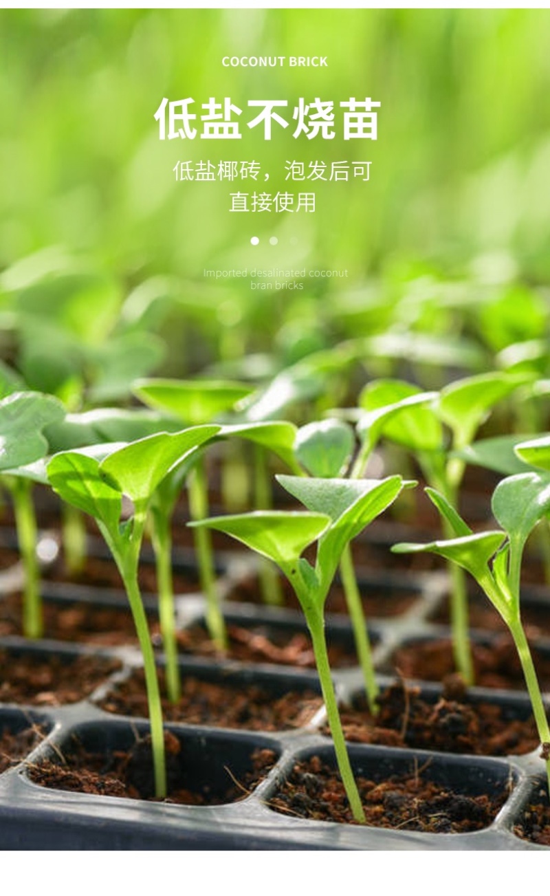 进口椰糖砖全国各地发货650g进口小椰糖砖