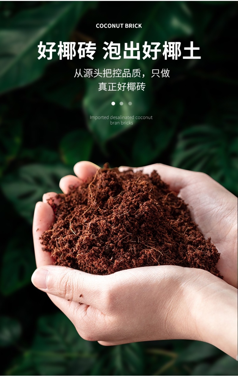 进口椰糖砖全国各地发货650g进口小椰糖砖