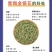 山东临沂四季金银花清热败火家庭种植盆栽阳台观赏