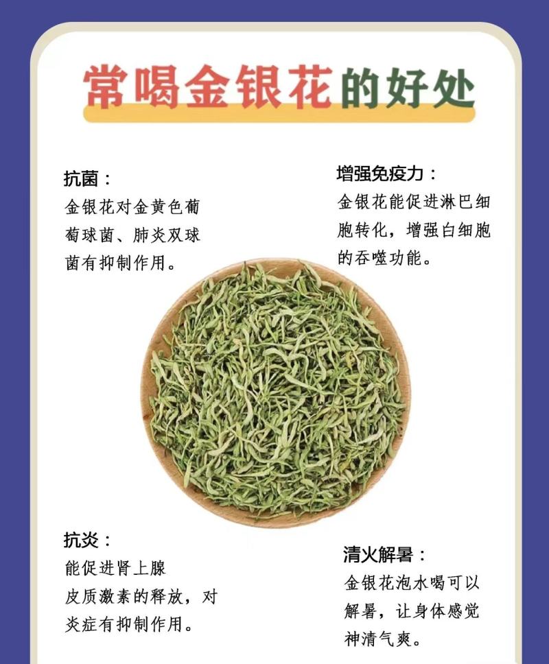 山东临沂四季金银花清热败火家庭种植盆栽阳台观赏