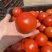 西红柿🍅，大红果，2.5两起称，遂宁出货。可框装