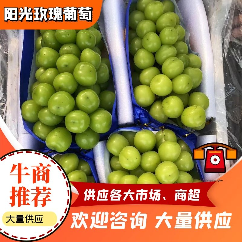 【今日推荐】阳光玫瑰葡萄上市多种规格任意采购一手