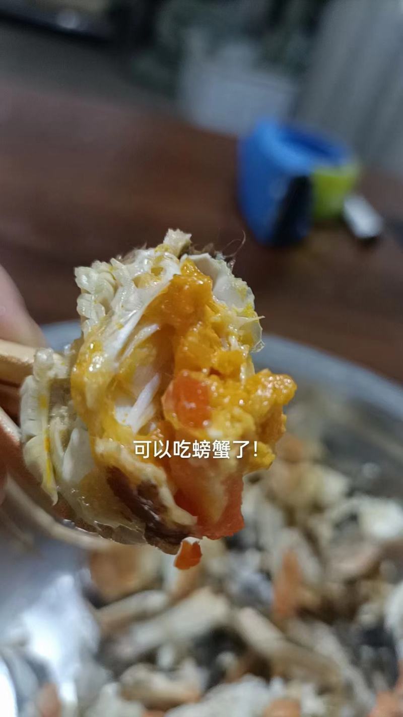盘锦稻田大闸蟹一手货源大量上市各种规格辽宁盘锦直发